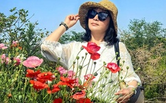 乱欧人与牲口杂交暴力狂